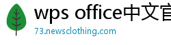 wps office中文官网